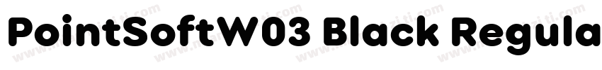 PointSoftW03 Black Regular字体转换